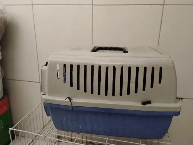 Caixa para pet (cachorro, gato, coelho...) - Foto 3