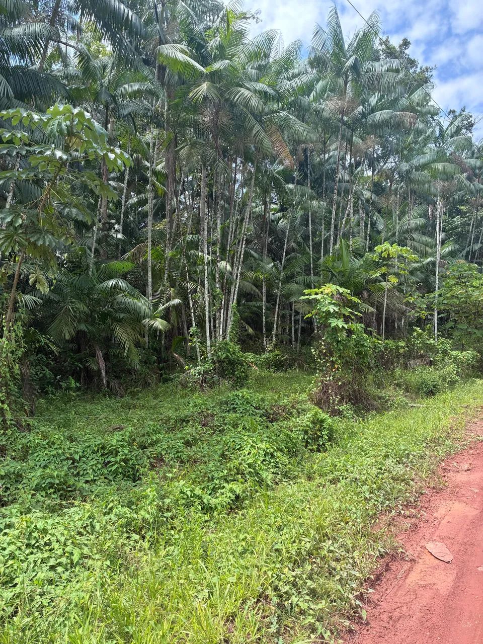 SOMENTE VENDA  - Foto 5
