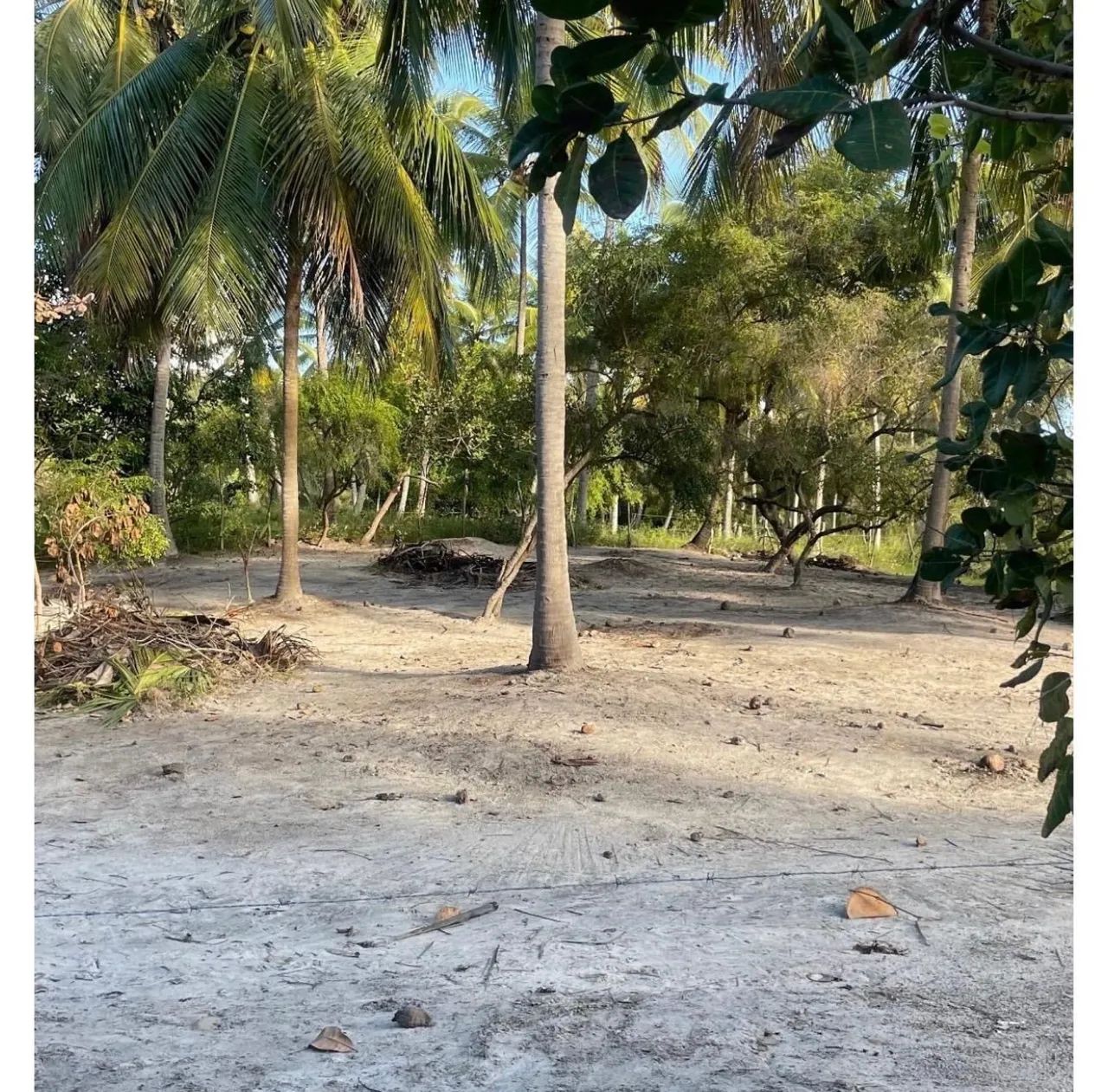 Lotes em lagoa Redonda-Pirambu - Foto 3