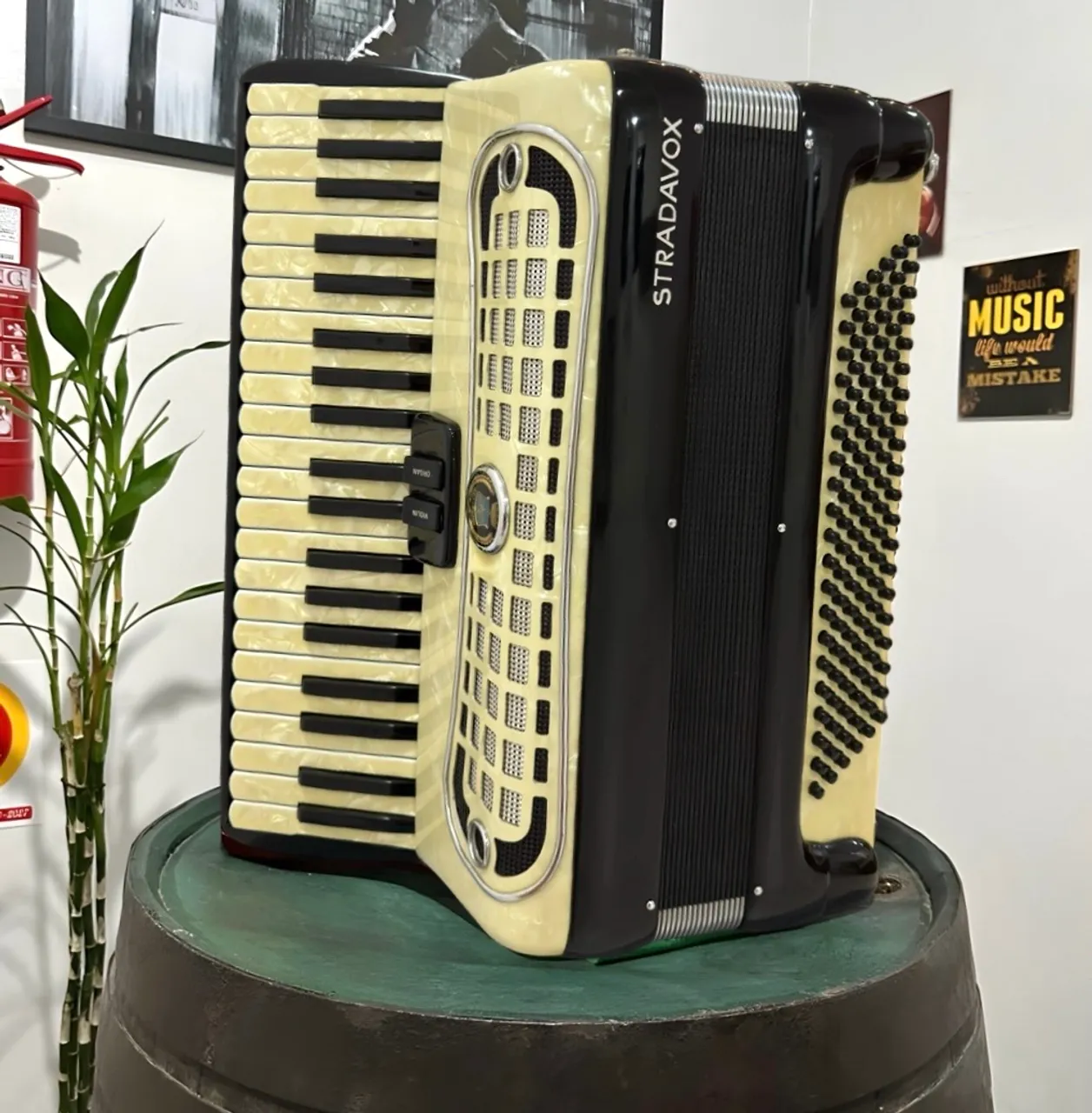 邦楽 The Philharmonic Turntable Orchestra Acordeon Da Vinci MM Special Polifônica - Instrumentos musicais