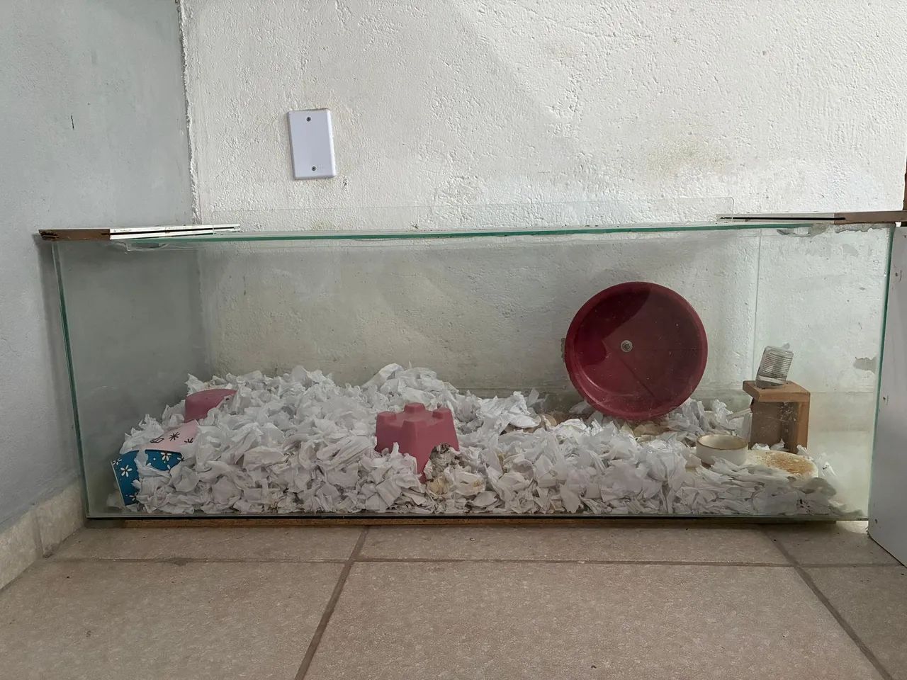 Terrario/Aquário 