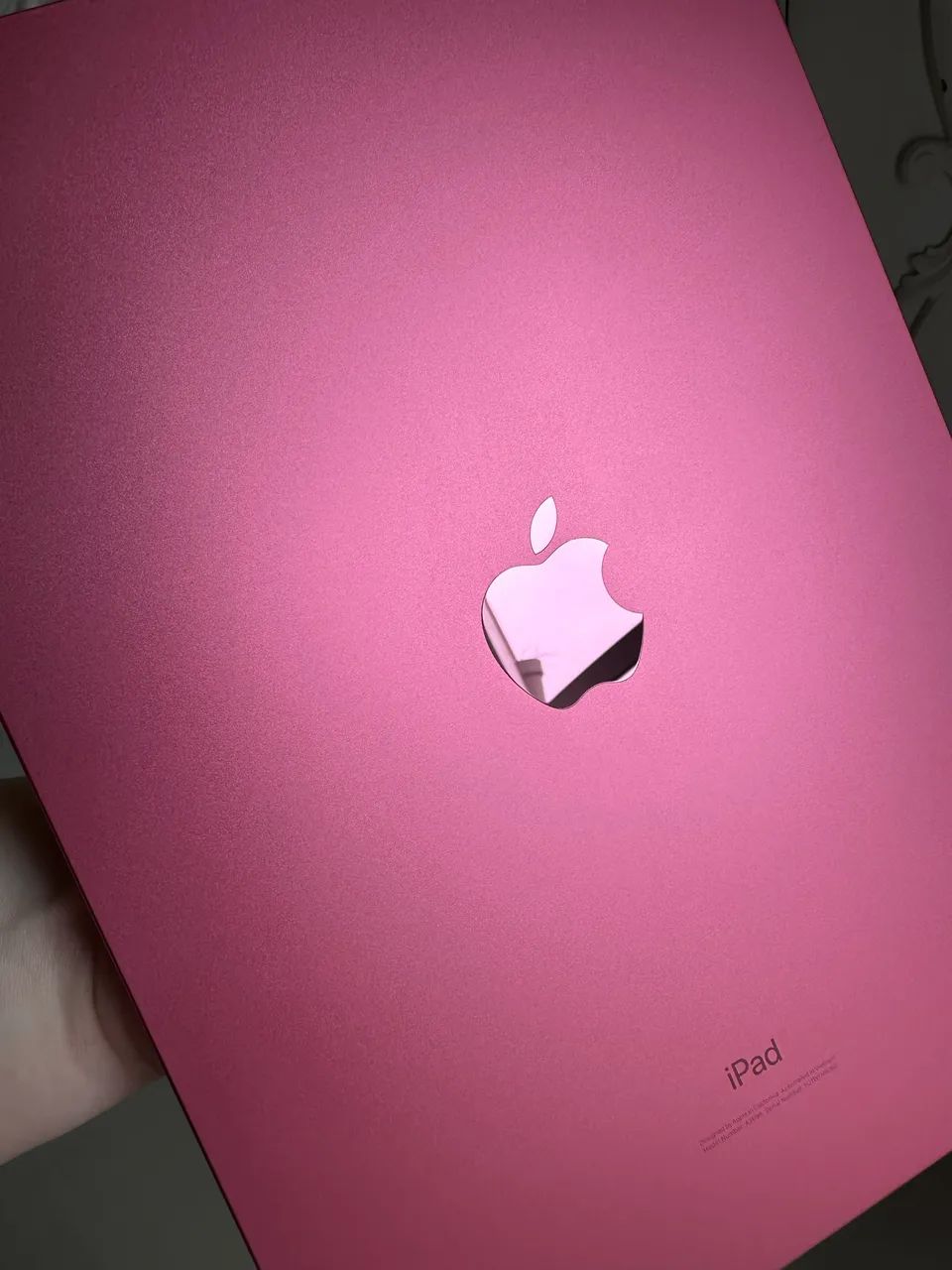 iPad 10