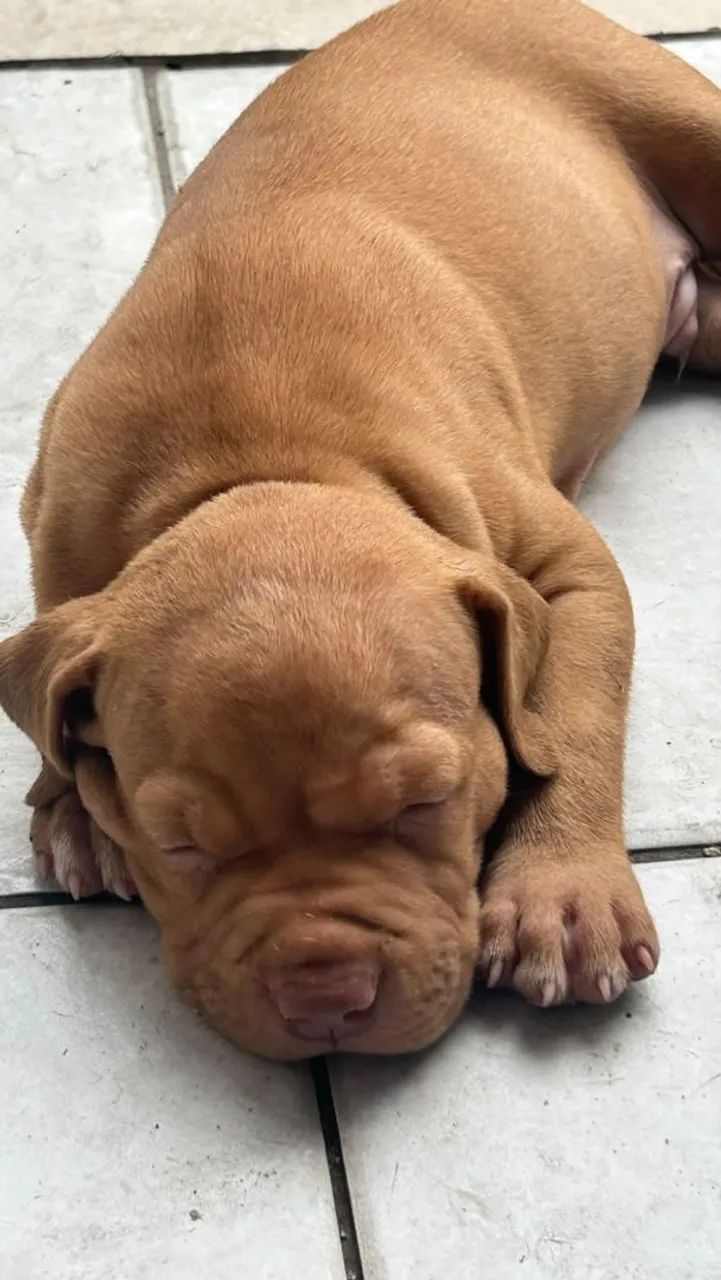 Pit monster