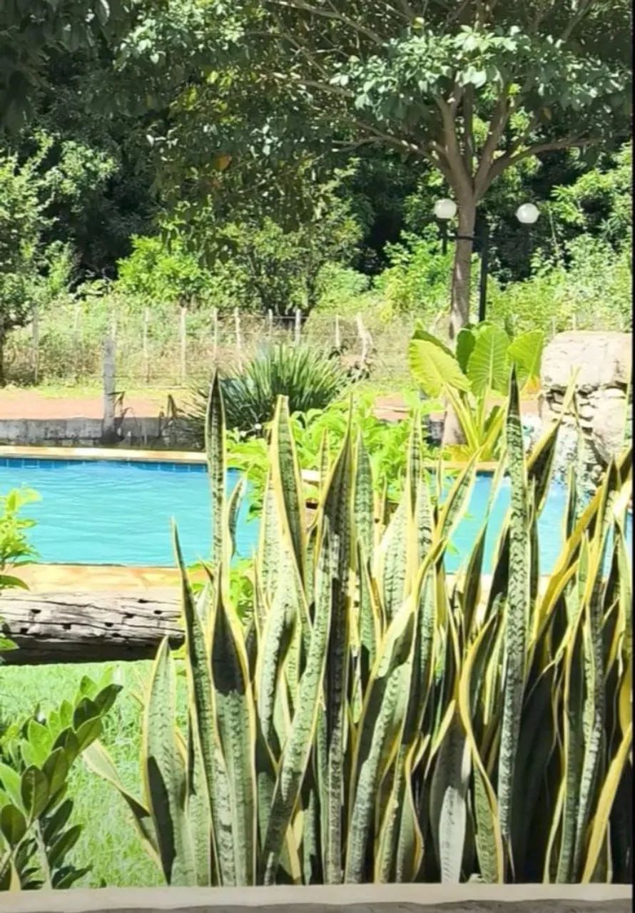 Aluguel por Temporada - Sítio São Francisco - Foto 12