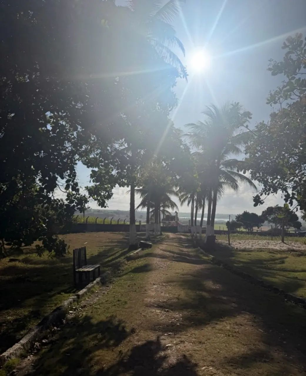 Fazenda 105 hectares 