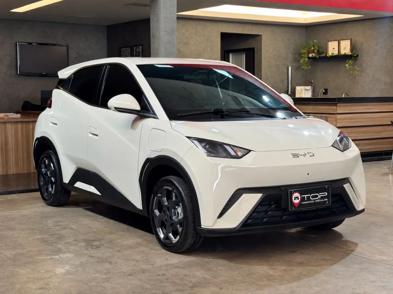BYD Dolphin Mini (Elétrico) 2026