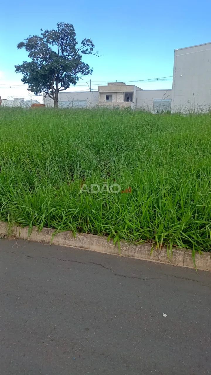 LOTEAMENTO AGROPOLE - Foto 5