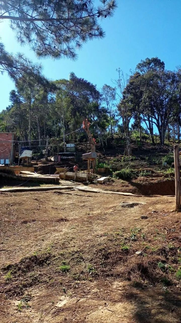 Chácara com 3 casas - Foto 5