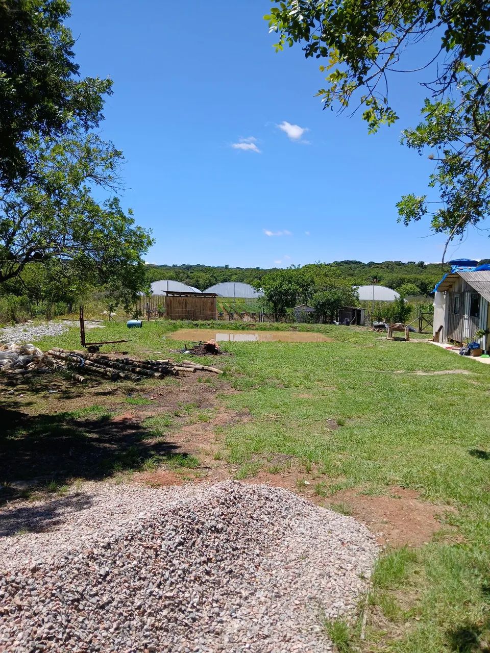 Foto - Araucária - Área Rural de Araucária