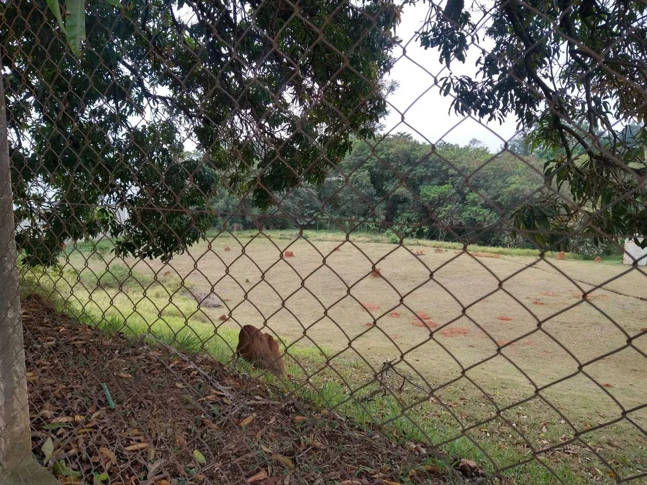 Área à venda, 12000 m² - Parque Campolim - Sorocaba/SP - Foto 4