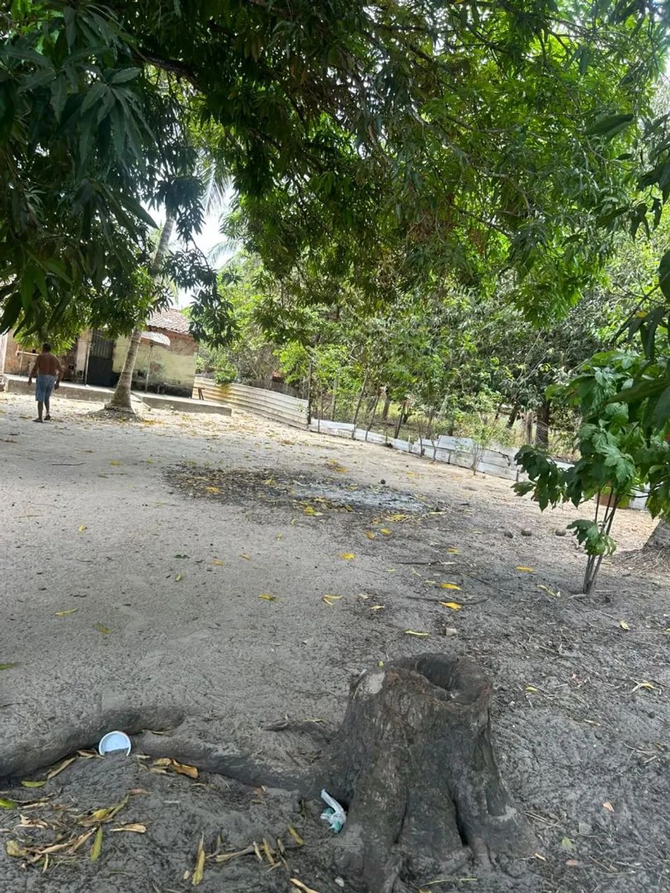 Vendo sítio com 3 casas
