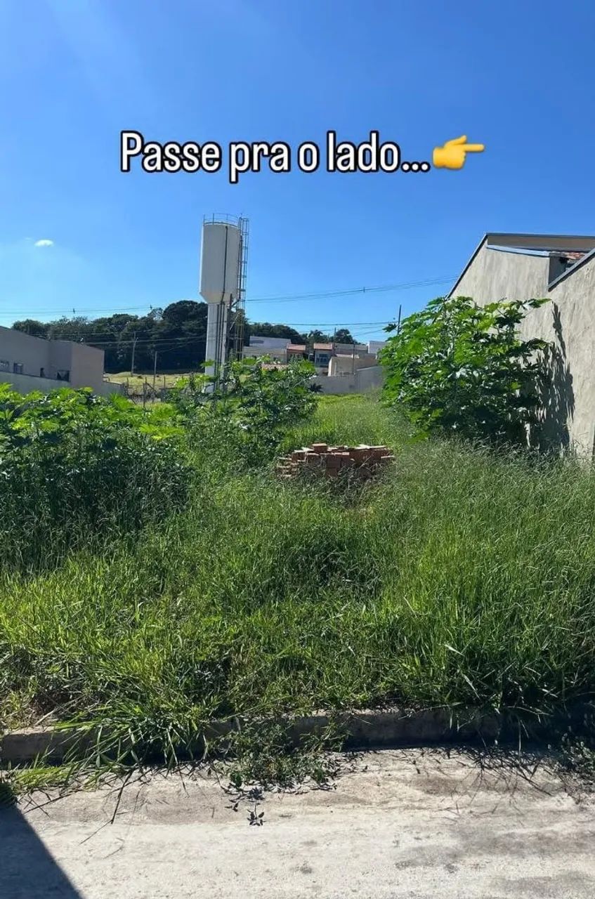 Limpeza e conservação de terreno - Foto 2