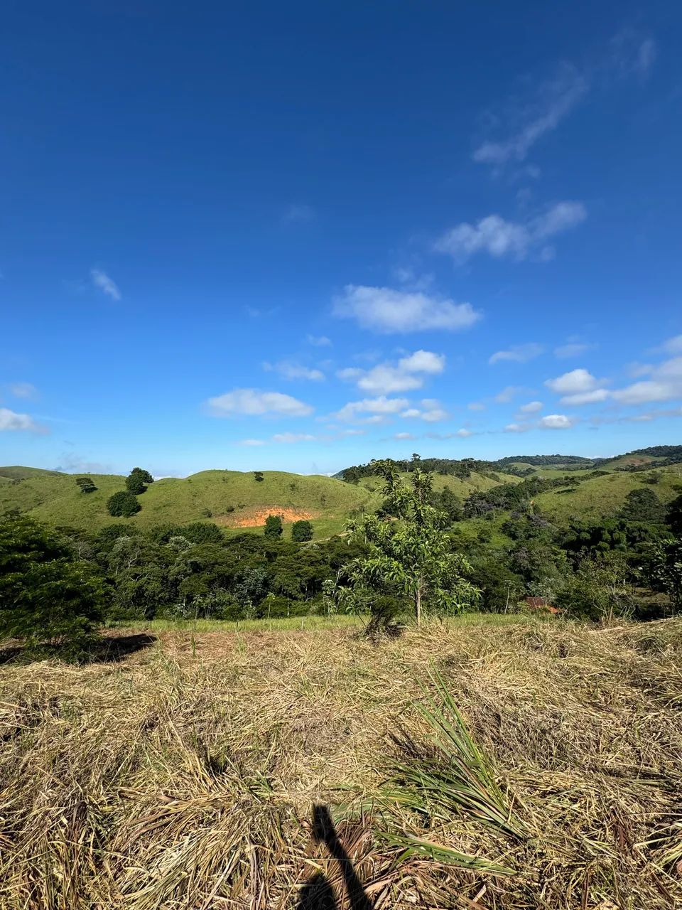 Vendo excelente terreno em Ipiabas. - Foto 4