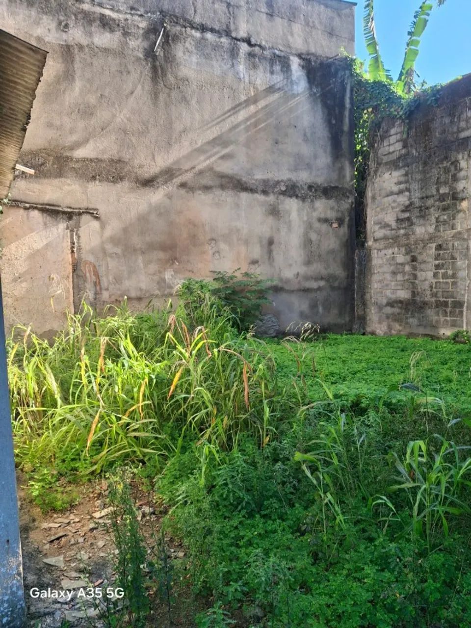 alugo terreno 250m2 - Foto 2