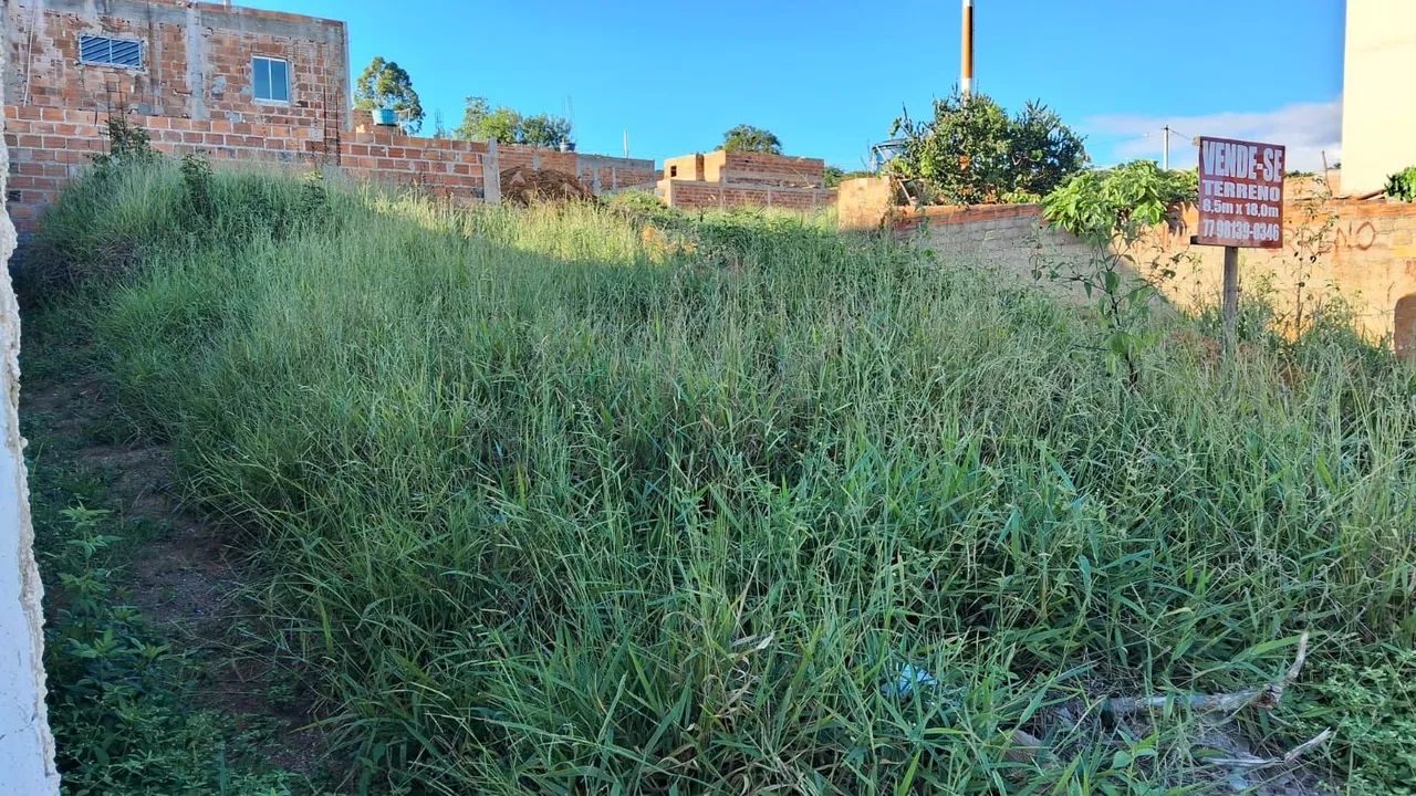 Terreno a venda no panorama  - Foto 5