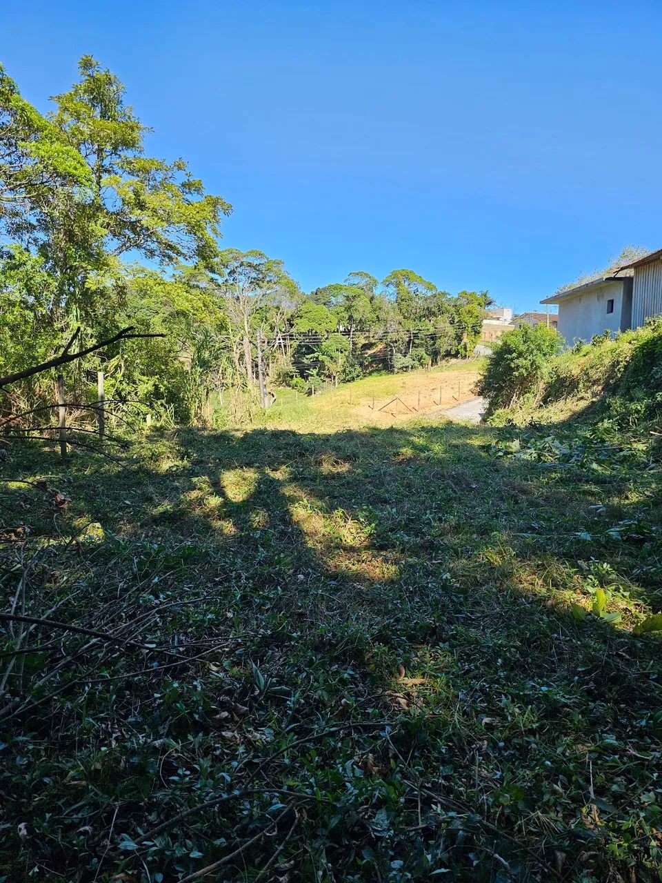 Terreno com linda vista no centro de Santo Amaro da Imperatriz  - Foto 3