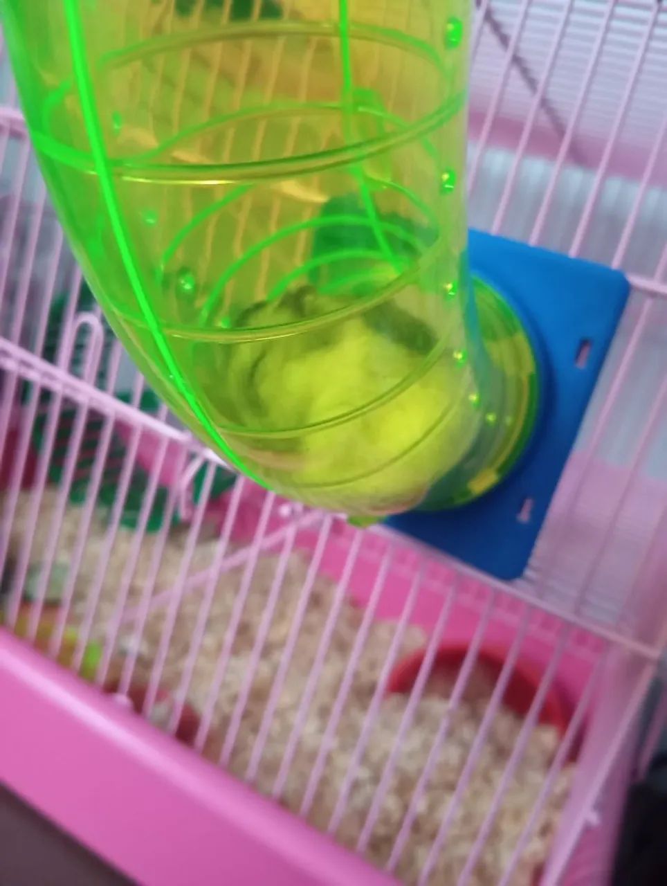 Gaiola para hamster  - Foto 3