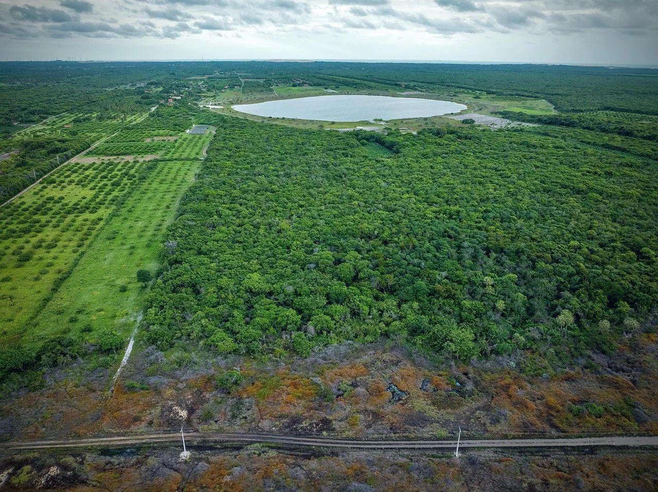 Terreno beberibe  - Foto 5