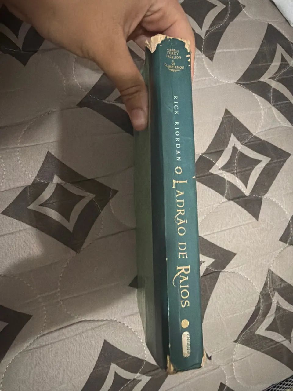 O Ladrão de raios  - Foto 2