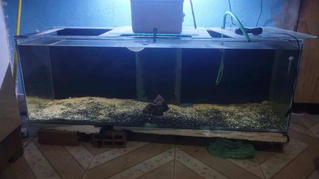 Aquário jumbo 