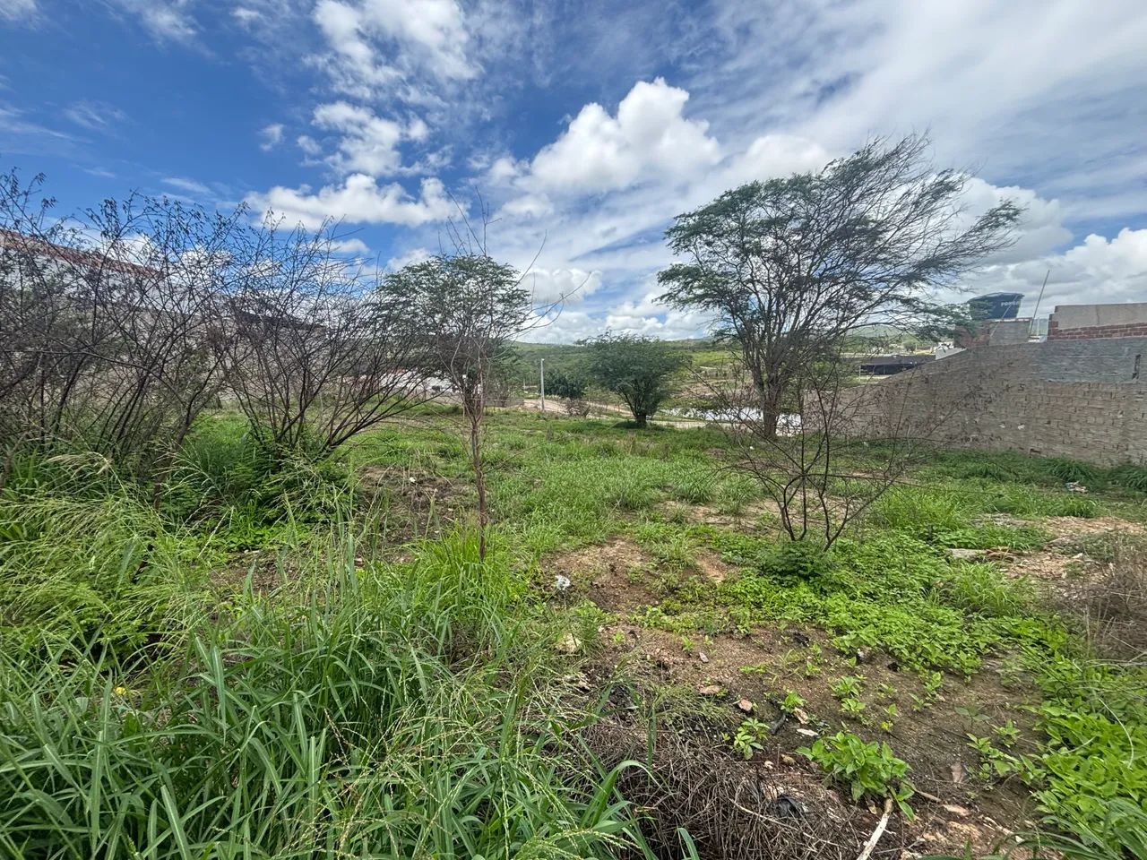 ((CM)) Promoção em Bezerros, Lote C/295m2 Próx ao Centro - Foto 2