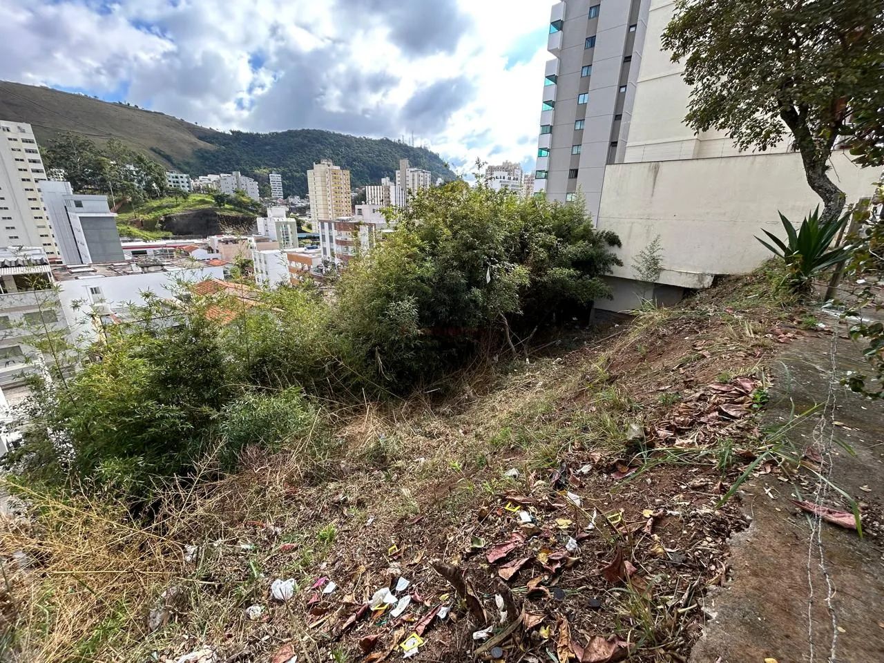 Lote / Terreno - São Mateus