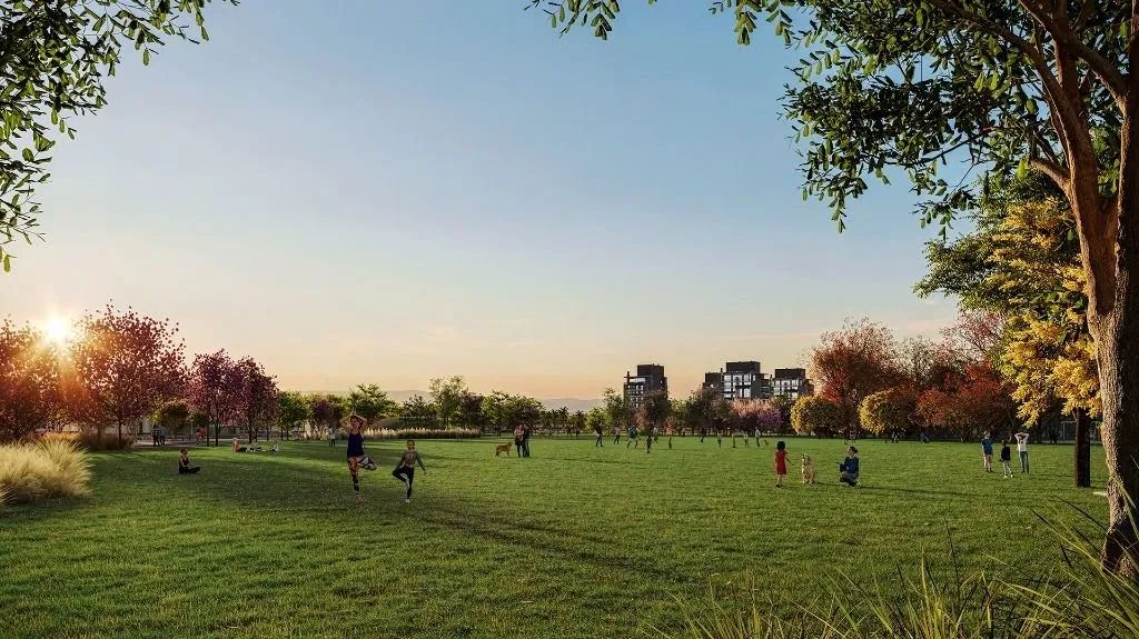 Terreno à venda, a partir de 250 m² - Centro - Tijucas/SC - Foto 3
