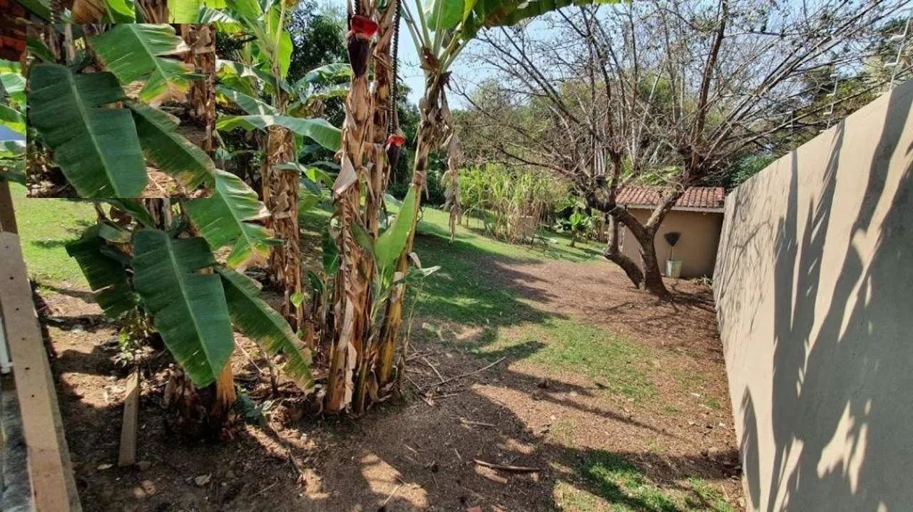 chácara à venda em campestre, piracicaba 7 quartos 3000m ² - Foto 4