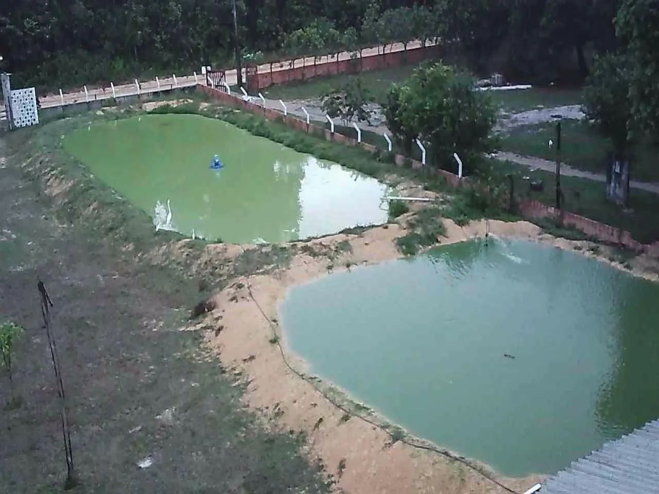  Vendo sítio! Aceito proposta,ou casa em Manaus , - Foto 3
