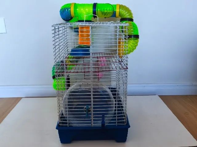 Gaiola para Hamster Quatiguá  - Foto 2