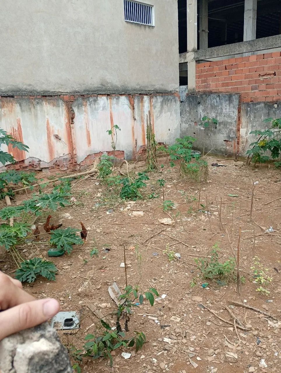 Lote no cidade nobre  - Foto 3