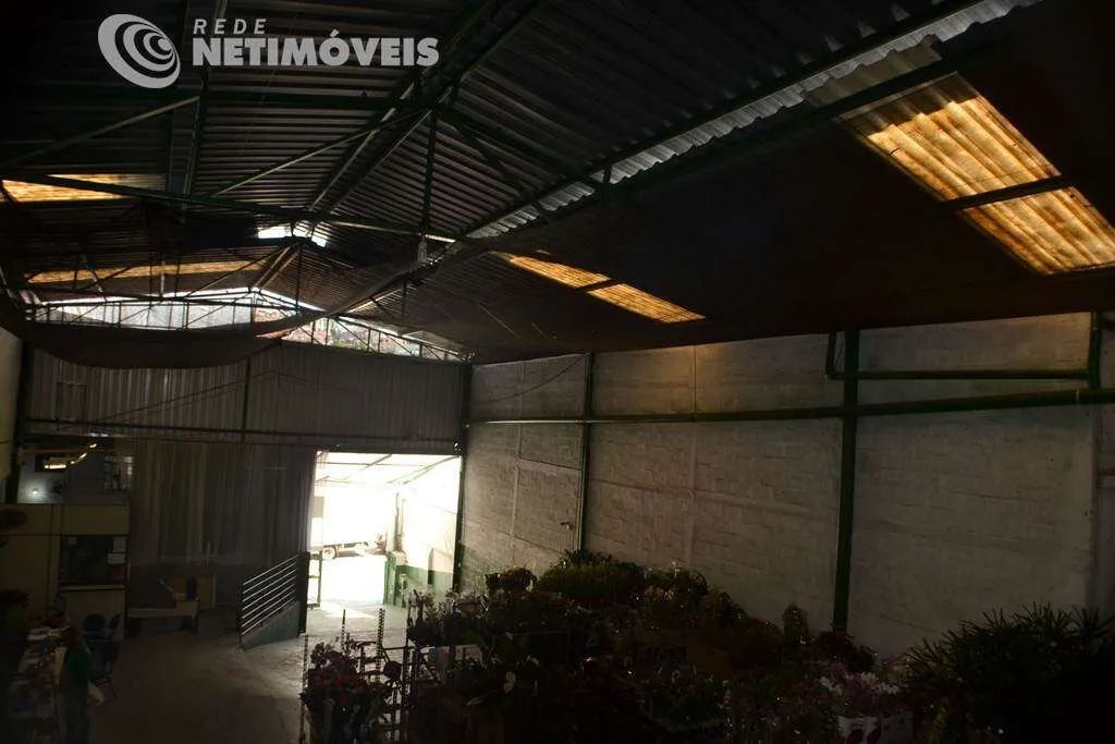 Venda Galpão Cachoeirinha Belo Horizonte - Foto 3