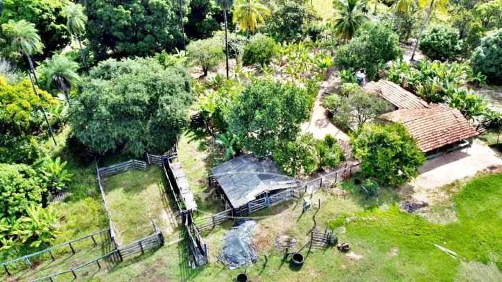 Fazenda de Oportunidade em Ponte Alta - TO | 100 Alqueires - Foto 5