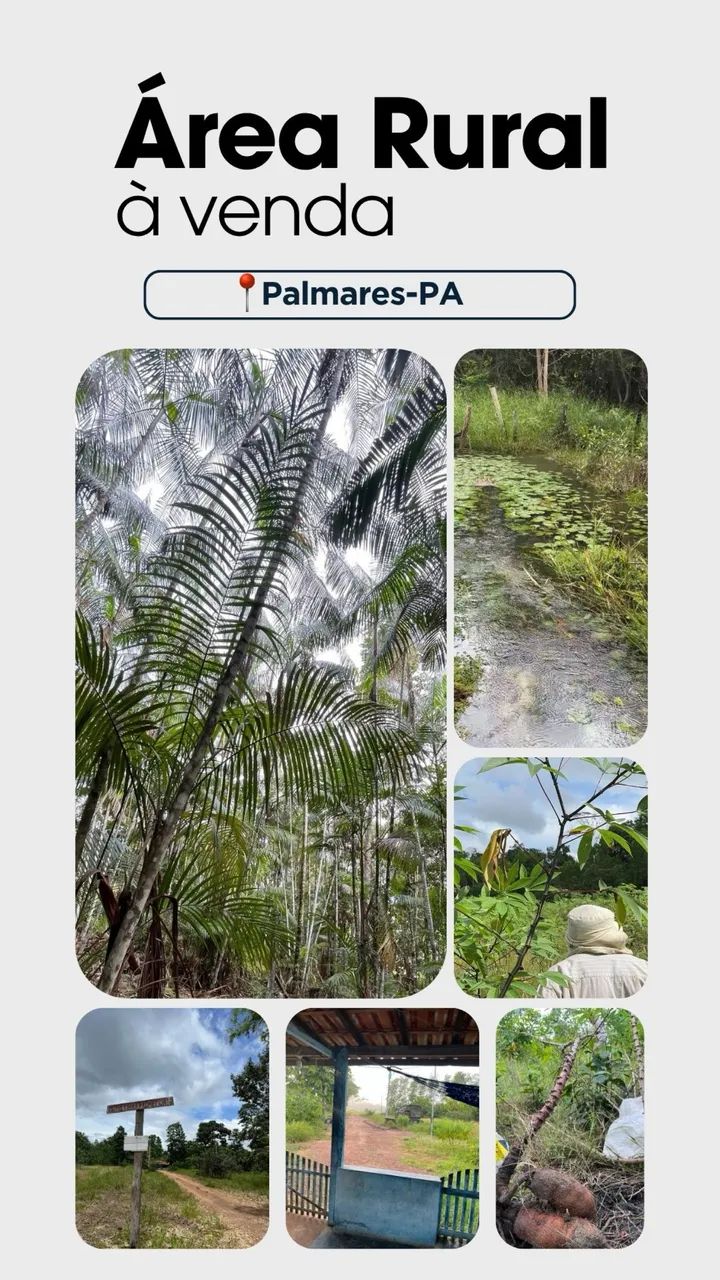 ÁREA RURAL EM PALMARES - Foto 2