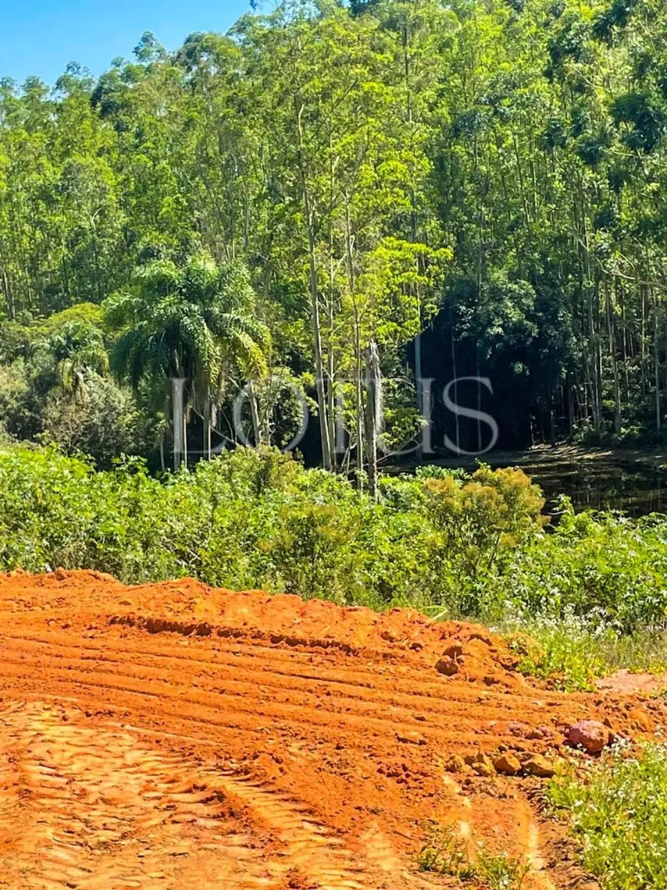 COMPRE O TERRENO E CRIE SEU ESPAÇO NO INTERIOR - Foto 2