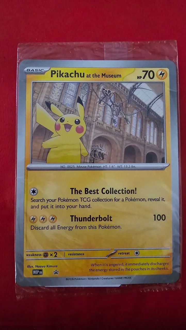 Pikachu at the Museum Oversized Jumbo NHM1/?o