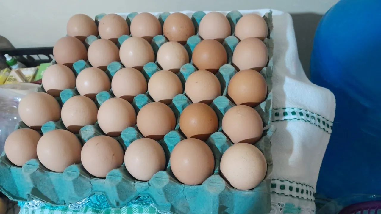 Ovos galados 