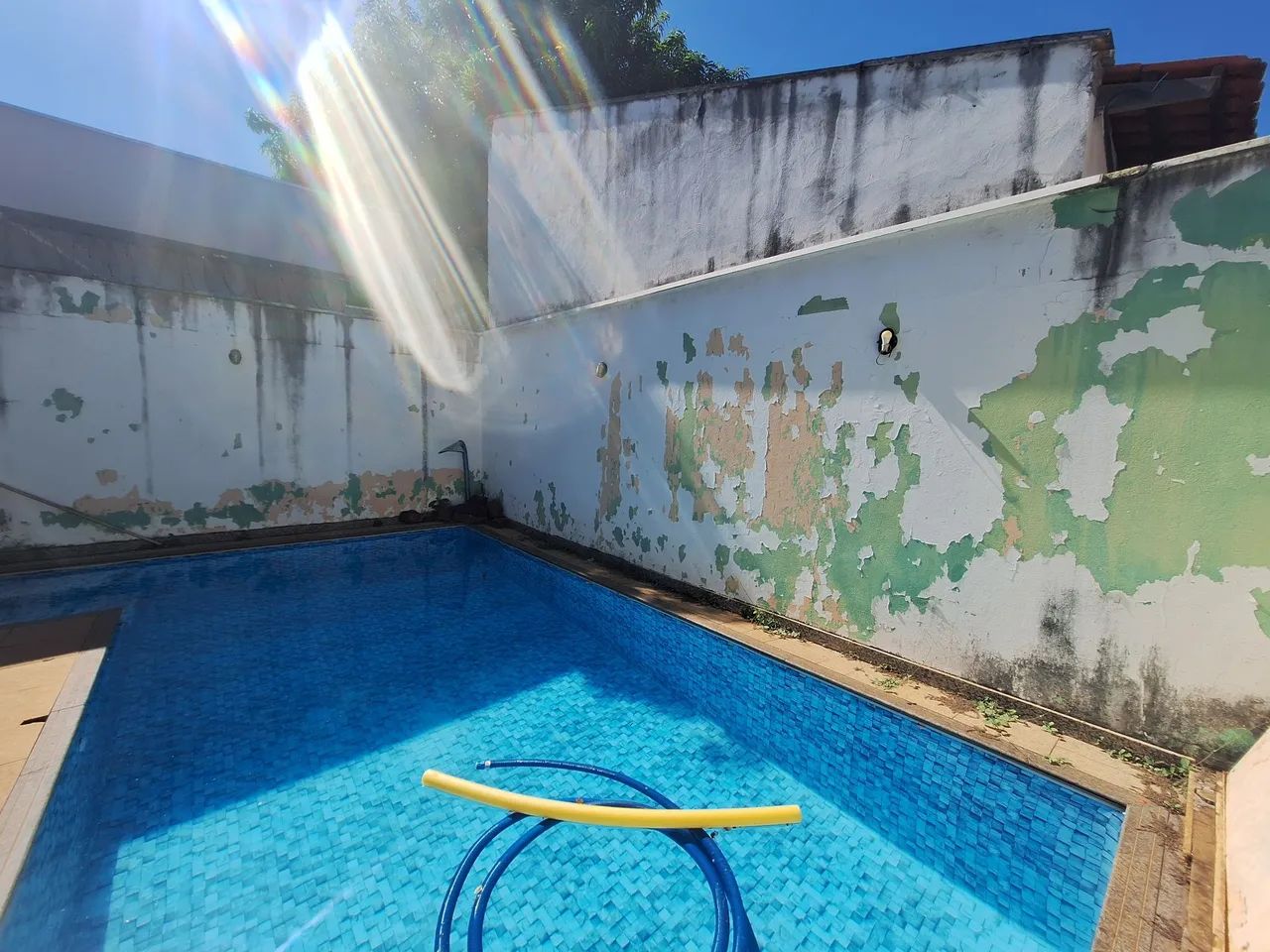 Pintor Pintor  - Foto 4
