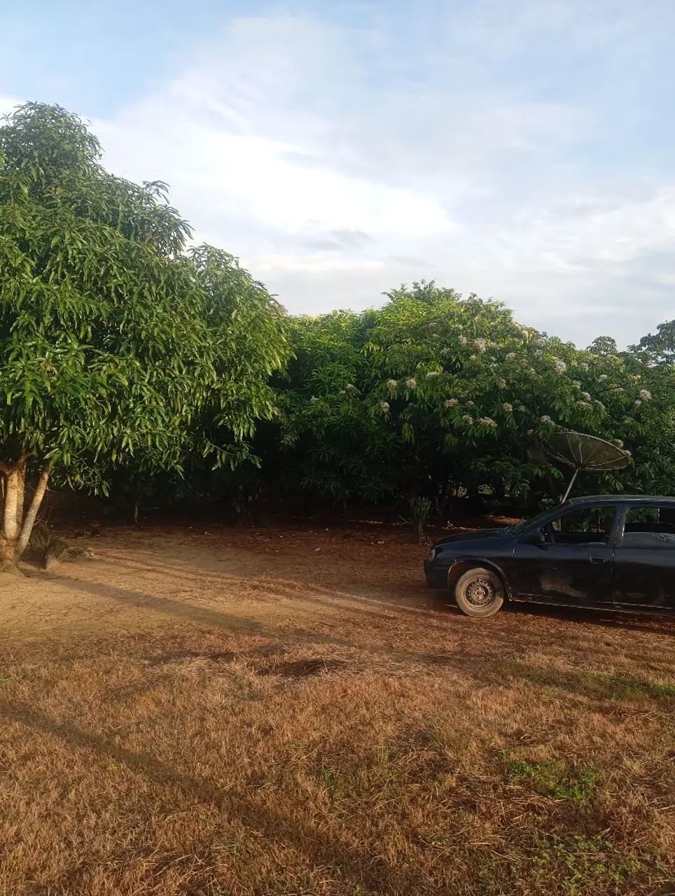 Vende-se essa chácara na vila nova  Mucajaí  - Foto 3