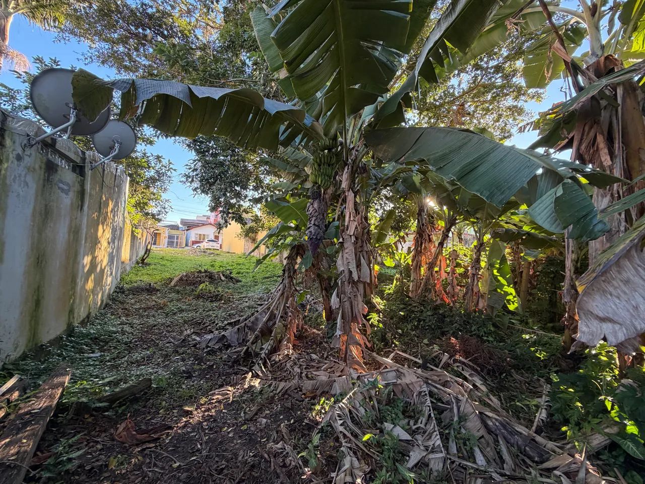 Vendo lindo lote perto Centro Histórico de Garopaba - Foto 4