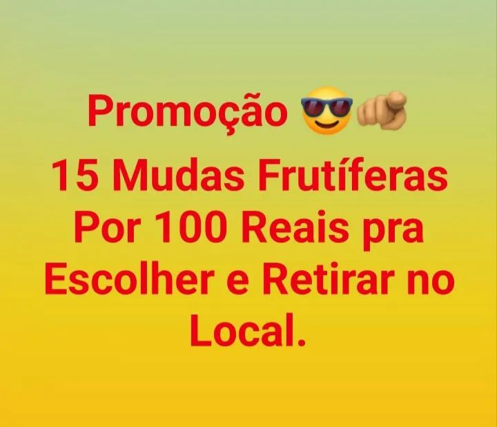 Promoção... 15 Mudas frutíferas por 100 reais pra escolher e retirar no local 