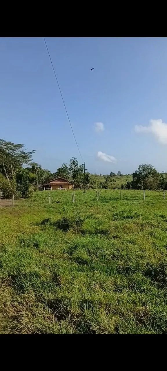 Fazenda na BR 010 - Foto 3