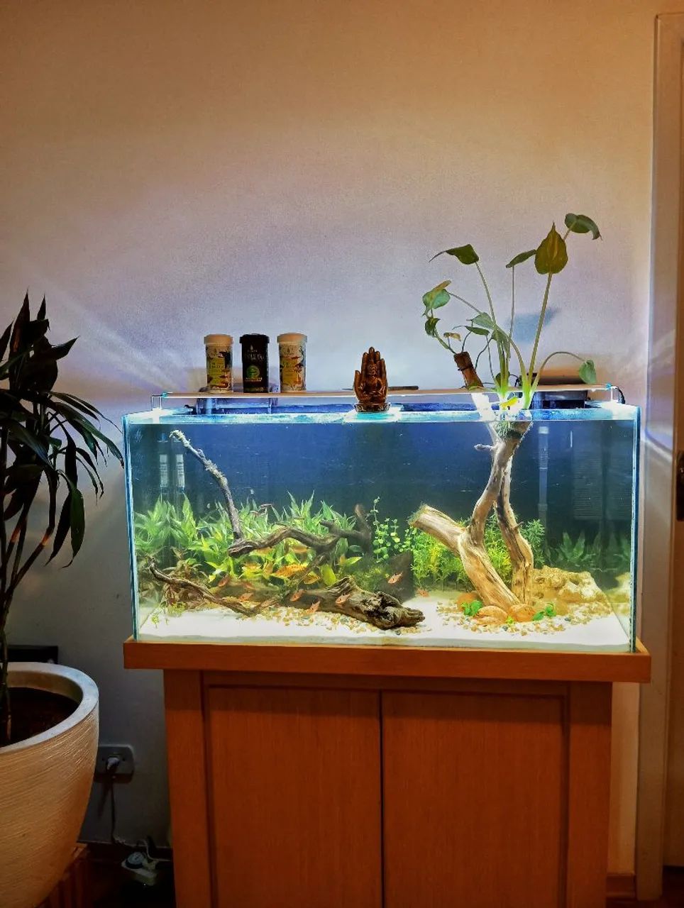 AQUÁRIO 200L COMPLETO  - Foto 2