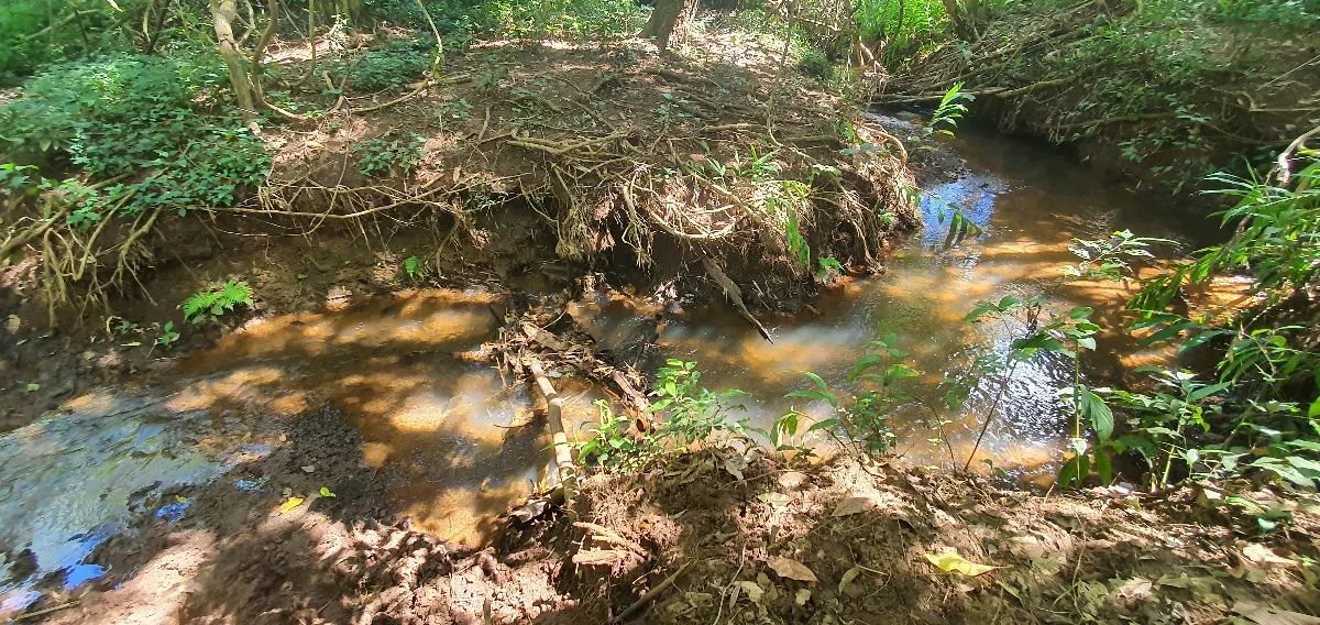 Chácara com 1 Alqueire com água e escritura na região Macaúba | Próximo a Nerópolis - Foto 3