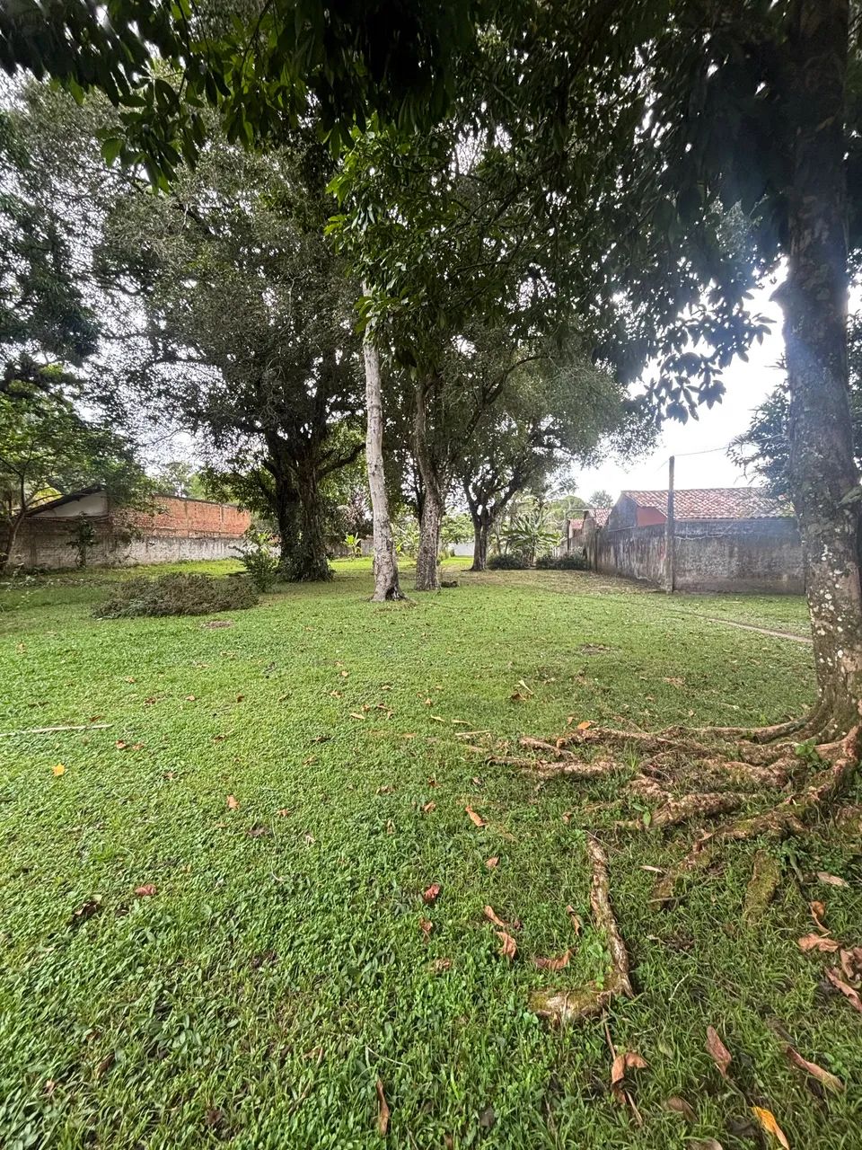 Chácara na estrada de mosqueiro 