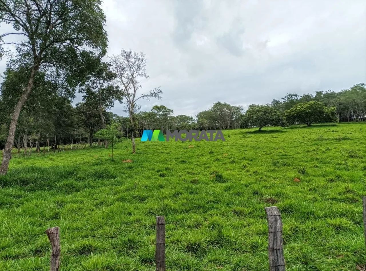 FAZENDA À VENDA - 78 HECTARES - CLÁUDIO (MG)