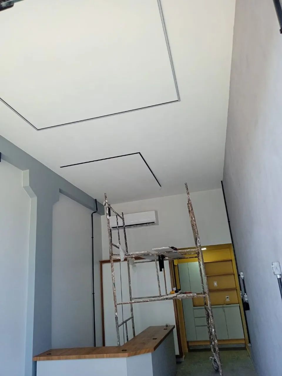 Sou pintor profissional 