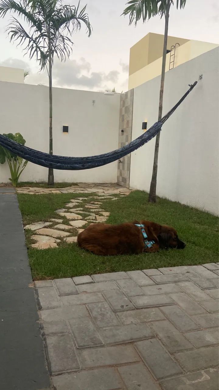 Vilaredo Barra  - Foto 3