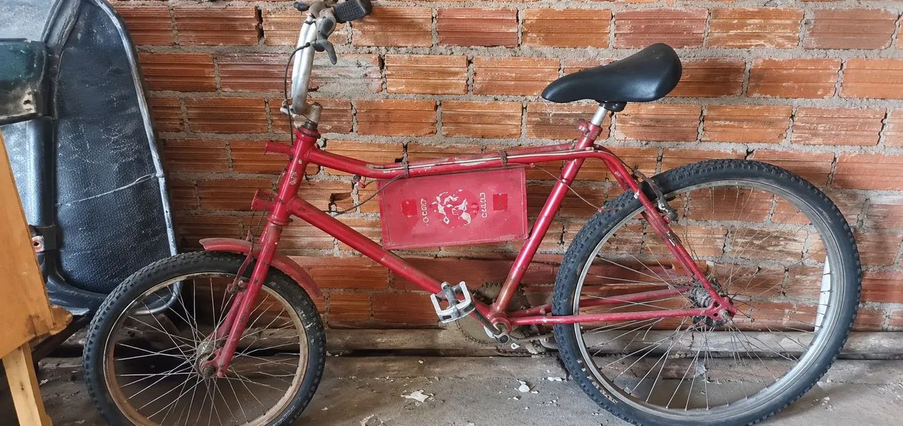 Bicicleta cargueira 