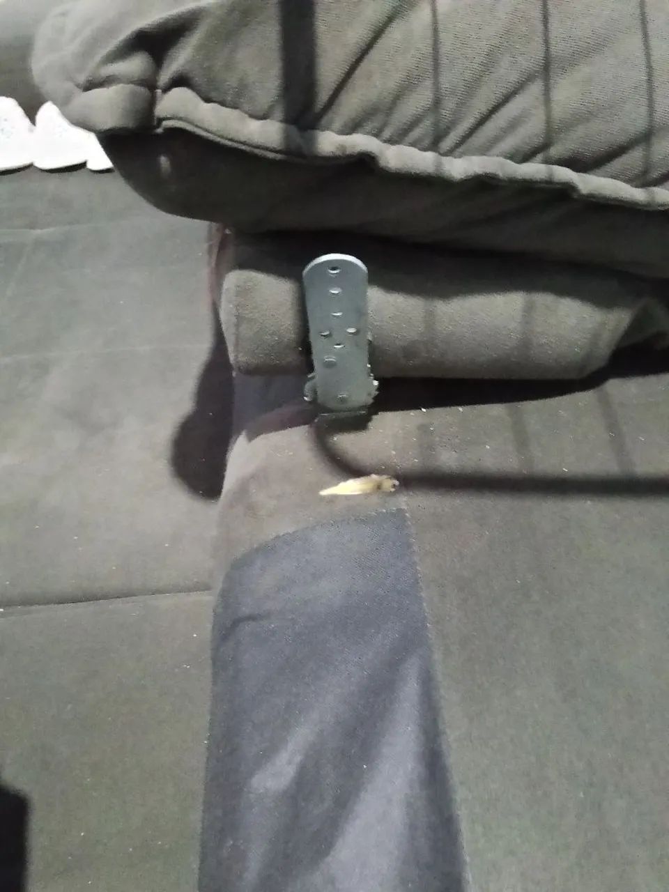 Sofá cama  - Foto 2